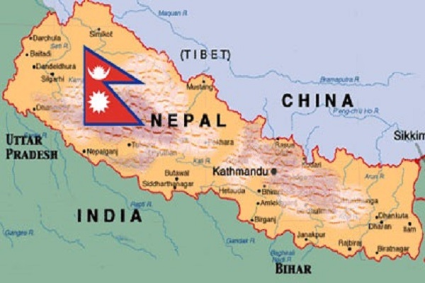 Cow becomes national animal of Nepal ! - Akela Bureau of Investigation