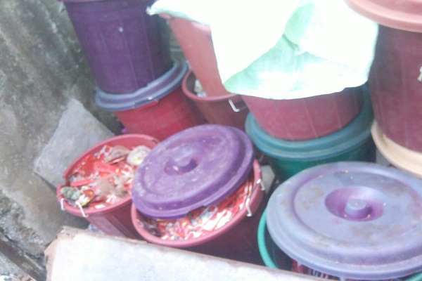 Handmaids of the Blessed Trinity orphanage food 4